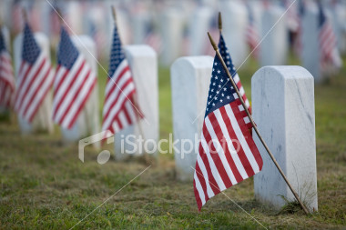 stock-photo-2020930-flags-for-the-fallen